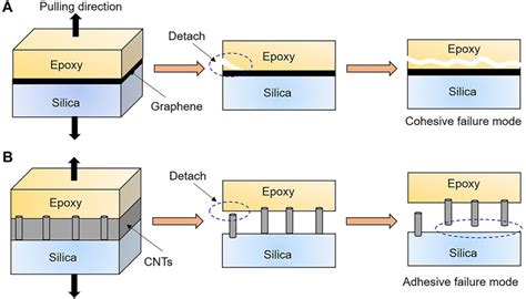 Improving interfacial adhesion and mechanical properties of carbon.